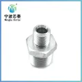 PT Hex Nipple Pipe Fitting